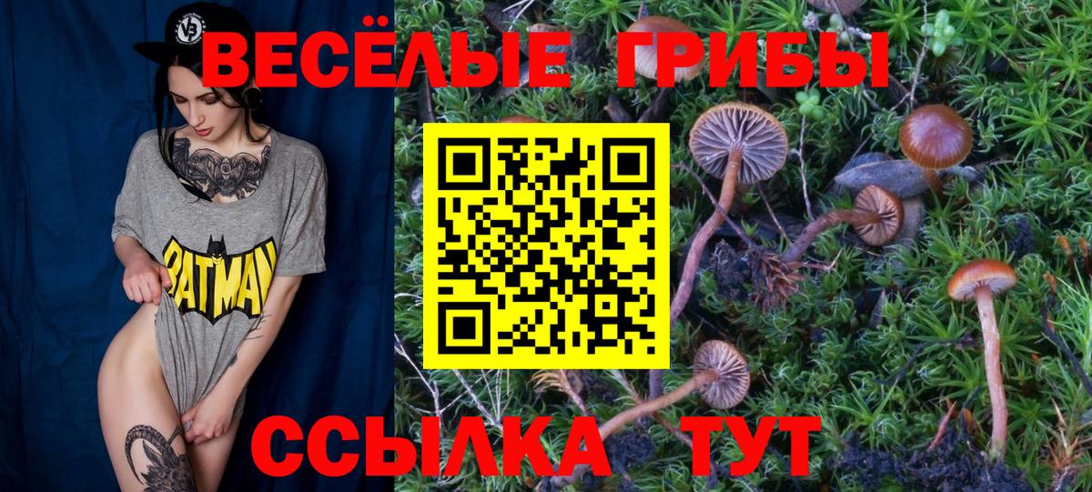Санкт-Петербург  Псилоцибиновые грибы Psilocybine cubensis  Вход с VPN 