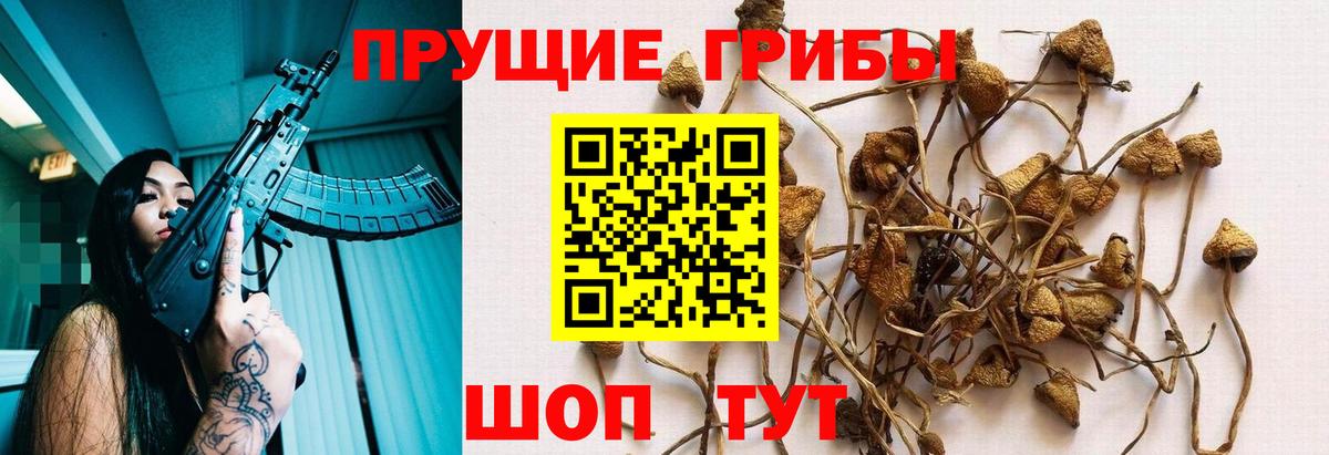 Псилоцибиновые грибы ЛСД Санкт-Петербург